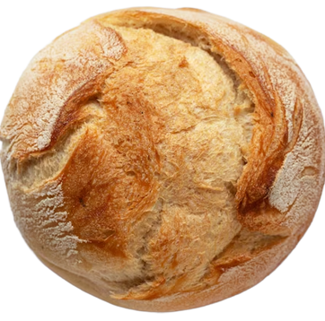 shape
